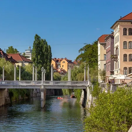 Stari Trg Apartment *