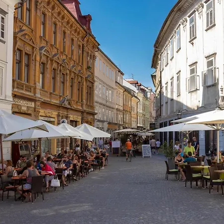 Stari Trg *